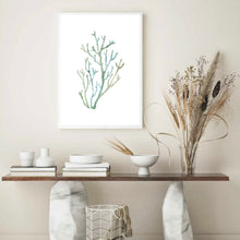 Load image into Gallery viewer, Coral Cool Tones II | Wall Art