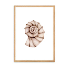 Load image into Gallery viewer, Seashell Neutral Tones II | Wall Art