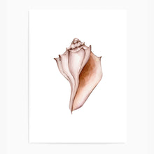Load image into Gallery viewer, Seashell Neutral Tones | Wall Art