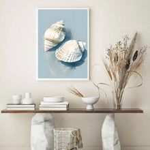 Load image into Gallery viewer, Shells III | Wall Art
