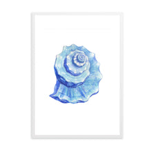 Load image into Gallery viewer, Seashell Blue II | Wall Art
