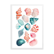 Load image into Gallery viewer, Shells Colourful II | Wall Art