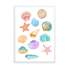 Load image into Gallery viewer, Seashells Colourful | Wall Art