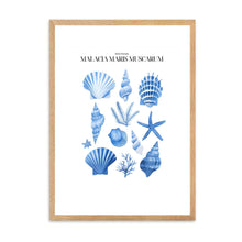 Load image into Gallery viewer, Shells Blue II | Wall Art