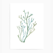 Load image into Gallery viewer, Coral Cool Tones II | Wall Art