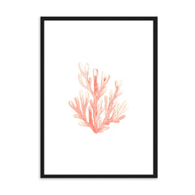 Load image into Gallery viewer, Coral Orange | Wall Art