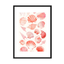 Load image into Gallery viewer, Seashells Coral | Wall Art