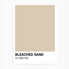 Load image into Gallery viewer, Beached Sand Beige Colour Swatch | Wall Art