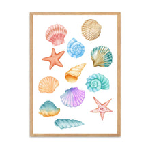 Load image into Gallery viewer, Seashells Colourful | Wall Art