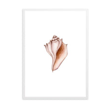 Load image into Gallery viewer, Seashell Neutral Tones | Wall Art