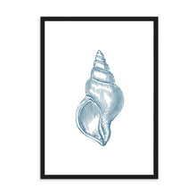 Load image into Gallery viewer, Seashell Blue I | Wall Art
