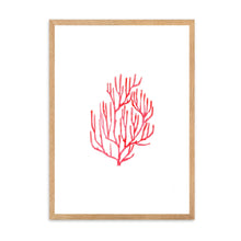Load image into Gallery viewer, Coral Red | Wall Art