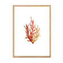 Load image into Gallery viewer, Coral Orange Tones | Wall Art