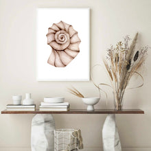 Load image into Gallery viewer, Seashell Neutral Tones II | Wall Art