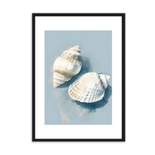 Load image into Gallery viewer, Shells III | Wall Art