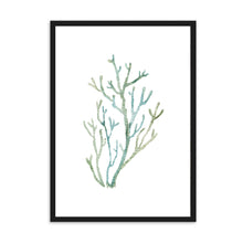 Load image into Gallery viewer, Coral Cool Tones II | Wall Art