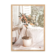 Load image into Gallery viewer, French Country Orange Tree | Framed Print
