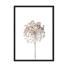 Load image into Gallery viewer, Neutral Dandelion | Framed Print