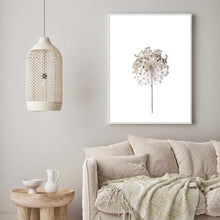 Load image into Gallery viewer, Neutral Dandelion | Framed Print