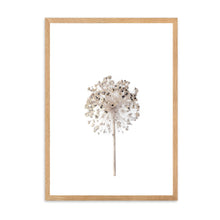 Load image into Gallery viewer, Neutral Dandelion | Framed Print