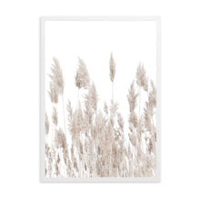 Load image into Gallery viewer, Neutral Pampas I | Framed Print
