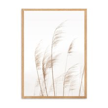 Load image into Gallery viewer, Coastal Pampas | Framed Print