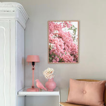 Load image into Gallery viewer, Greece Santorini Bougainvillaea II | Framed Print