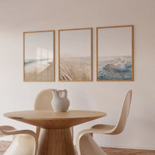 Load image into Gallery viewer, Coastal Pampas Beach | Framed Print