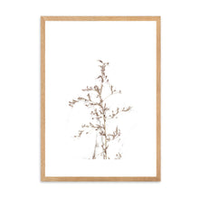 Load image into Gallery viewer, Neutral Pampas II | Framed Print
