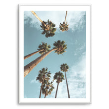 Load image into Gallery viewer, LA Palm Trees III | Art Print