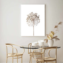 Load image into Gallery viewer, Neutral Dandelion | Framed Print