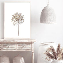 Load image into Gallery viewer, Neutral Dandelion | Framed Print