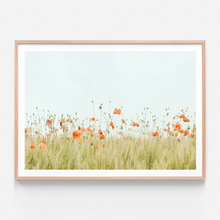 Load image into Gallery viewer, Poppies Landscape | Art Print