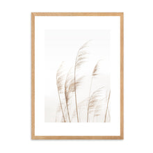 Load image into Gallery viewer, Coastal Pampas | Framed Print