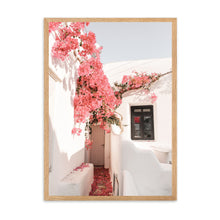 Load image into Gallery viewer, Greece Santorini Bougainvillaea I | Framed Print