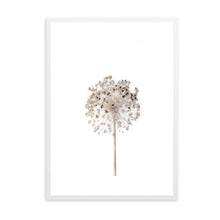 Load image into Gallery viewer, Neutral Dandelion | Framed Print