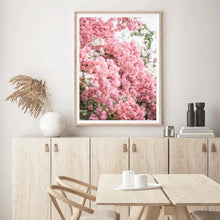 Load image into Gallery viewer, Greece Santorini Bougainvillaea II | Framed Print