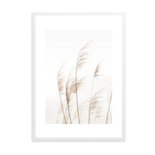 Load image into Gallery viewer, Coastal Pampas | Framed Print