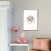 Load image into Gallery viewer, Neutral Dandelion | Framed Print