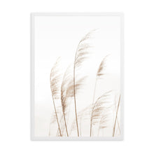Load image into Gallery viewer, Coastal Pampas | Framed Print