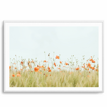 Load image into Gallery viewer, Poppies Landscape | Art Print