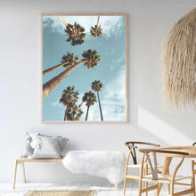 Load image into Gallery viewer, LA Palm Trees III | Art Print