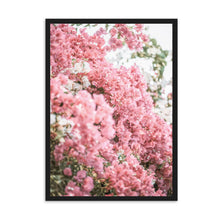 Load image into Gallery viewer, Greece Santorini Bougainvillaea II | Framed Print
