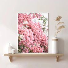 Load image into Gallery viewer, Greece Santorini Bougainvillaea II | Framed Print