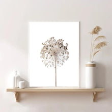 Load image into Gallery viewer, Neutral Dandelion | Framed Print