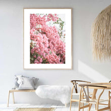 Load image into Gallery viewer, Greece Santorini Bougainvillaea II | Framed Print