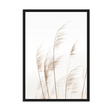 Load image into Gallery viewer, Coastal Pampas | Framed Print
