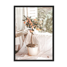 Load image into Gallery viewer, French Country Orange Tree | Framed Print
