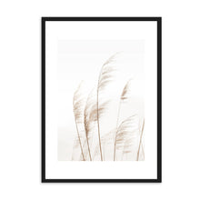 Load image into Gallery viewer, Coastal Pampas | Framed Print