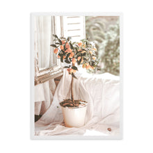 Load image into Gallery viewer, French Country Orange Tree | Framed Print